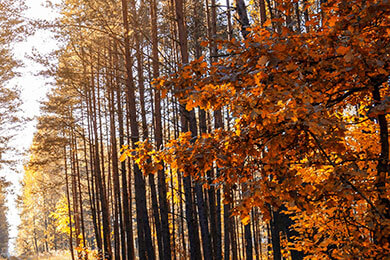 2026 极直播官网赫塔菲惊险胜曼联，形势激烈