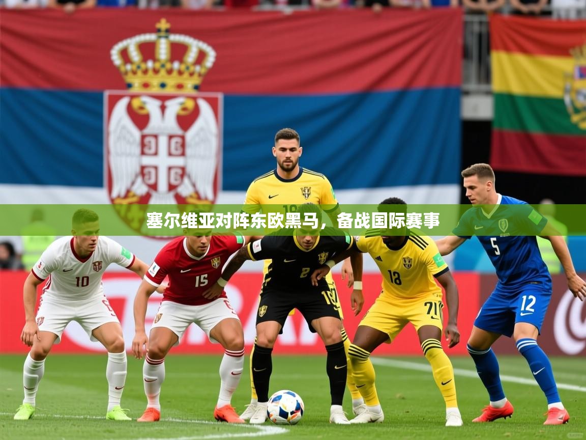 2025 极直播投屏板在哪里塞尔维亚对阵东欧黑马，备战国际赛事  第4张